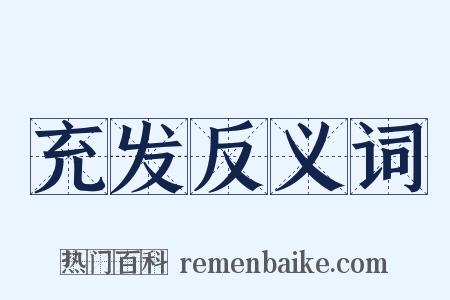 充发反义词是什么意思的图片